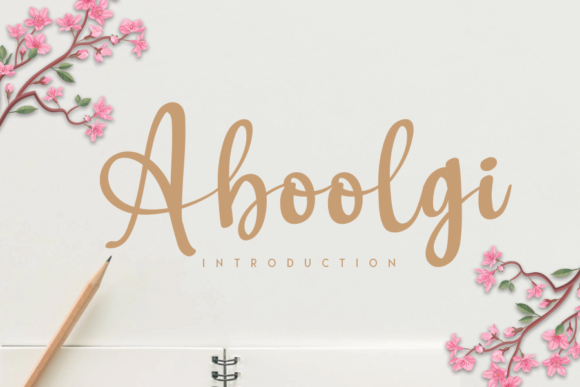 Aboolgi: The Font That Elevates Your Brand