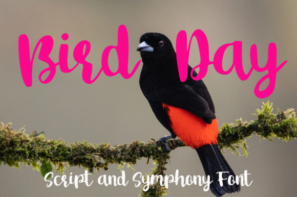 Bird Day Font: A Versatile Script for Handmade Creators