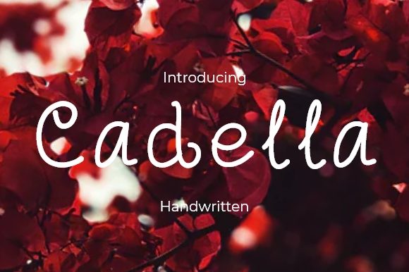 Cadella Font for Web Design: A Fresh Handwritten Touch