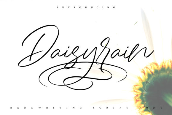 Daisy Rain Font for Modern Web Design