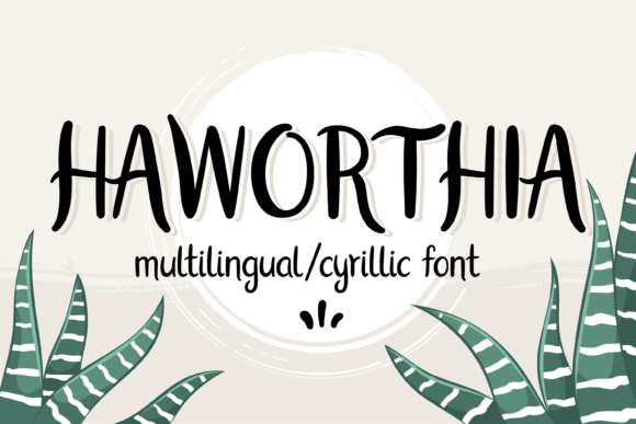 How Haworthia Transformed My Brand’s Visual Identity