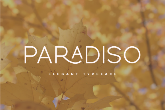 Paradiso: A Font That Elevates Your Brand