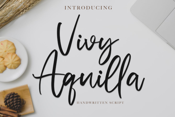 Vivy Aquilla Font Review
